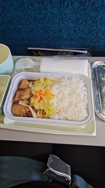 #shorts #вьетнам #фукуок Обед в самолёте/Вьетнамские авиалинии смотреть онлайн