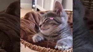 VID-20250917-WA0000.mp4