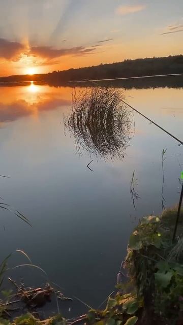 Встречаем закат на рыбалке!#рыбалка #fishing смотреть онлайн