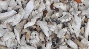 Лапша Удон с курицей и овощами