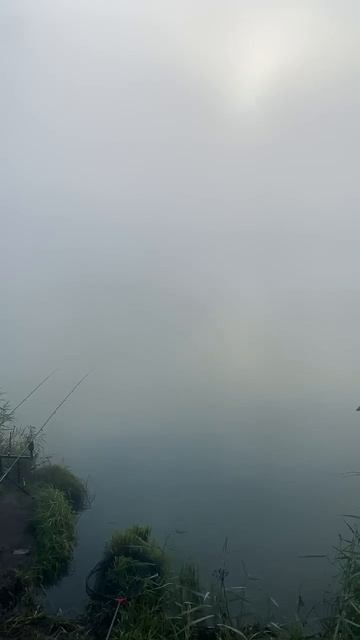 На рыбалке в туман!#fishing #carpfishing #рыбалка смотреть онлайн
