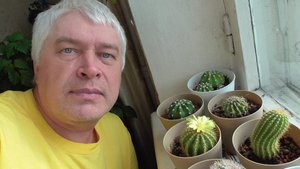 У меня кактус цветет второй день. Сегодня 4 октября 2025 год