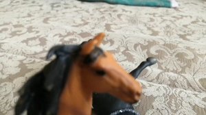 VID_20251004_124316.mp4