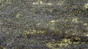 Катлама с маком