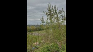 путешествие в Республику Беларусь заканчивается