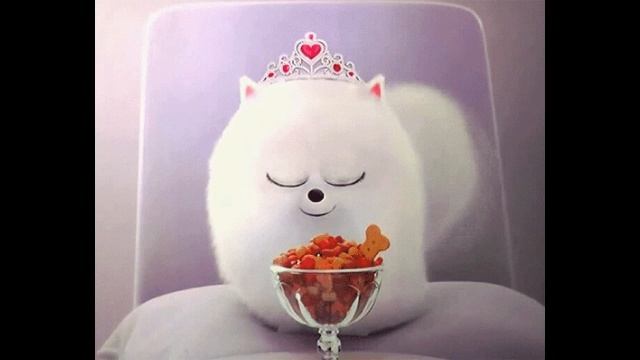 Клип_Гиджет_зеркало__SD 360p_MEDIUM_FR30~3