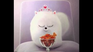 Клип_Гиджет_зеркало__SD 360p_MEDIUM_FR30~3