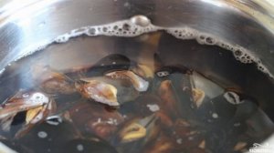 Мидии в створках