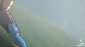 Куплинов эдит