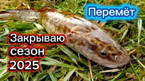 Закрываю летний сезон 2025. Первые налимы!