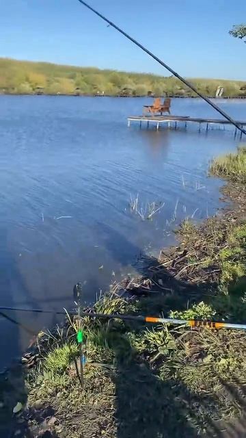 Настоящий рыбак растет #fishing #рыбалканафидер #carpfishing смотреть онлайн