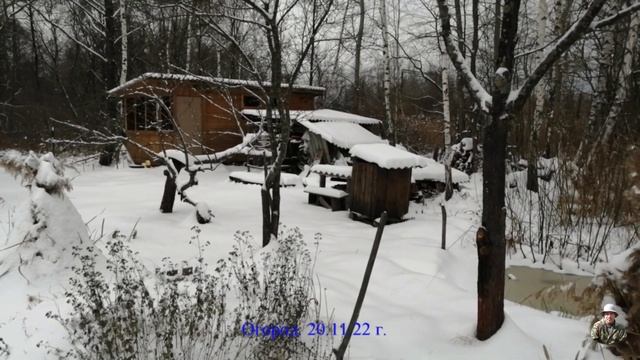 Огород 20 11 22 г