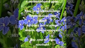 Тайны северной души...