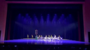 зайцы и черепахи 🐢