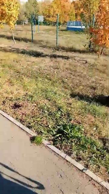 rutube.ru