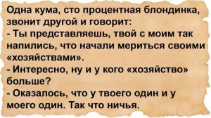 Кум взял бутылочку и зашёл к куме в гости. Сборник анекдотов