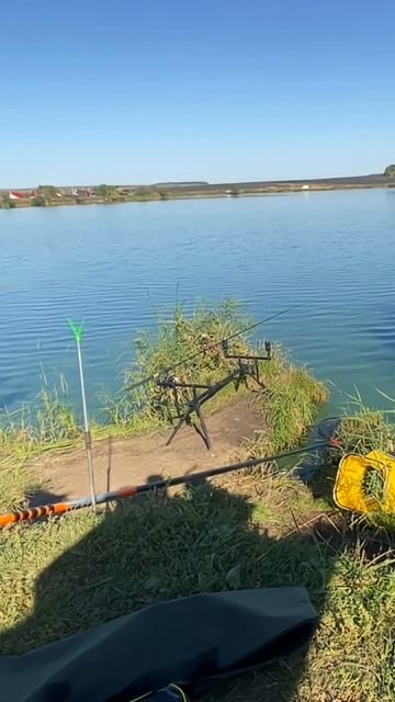 Уже не надеялся на клев! #fishing #рыбалканафидер #carpfishing смотреть онлайн