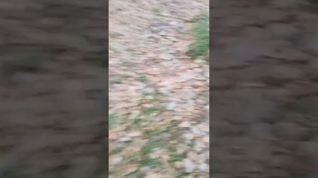 заброшенный лагерь 👻👹