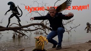 До чего доводит ИИ.