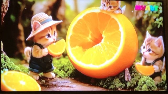 Анонс, рекламный блок и ролик (мульт 4.10.2025) смотреть онлайн