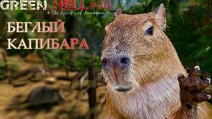 БЕГЛЫЙ КАПИБАРА Green Hell The Spirits of Amazonia#30
