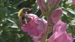 Уходит осень...Медленно...Красиво...Музыка Евгения Ширяева