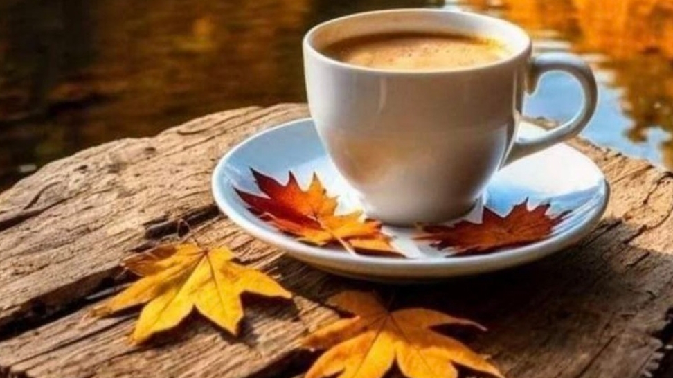 СП Носочный Бум 7 Зимушка Зима с Аннушкой Полозняк смотреть онлайн