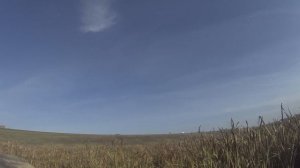 Осенняя охота на уток 2025. Эпизод № 3