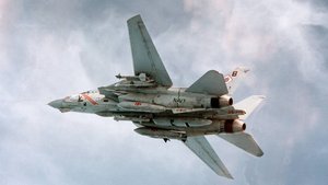 МиГ-29 vs F-14 Tomcat