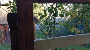 СОЧИ ГОРНОЕ ЛОО ВЕЧЕР 04.10.2025