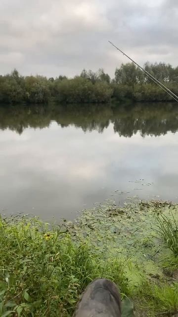 Рыбалка на реке!#флет #рыбалка смотреть онлайн