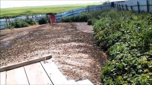 Применение на птицефабрике ЭМ-Вита (обработка помещений, птицы и помета)