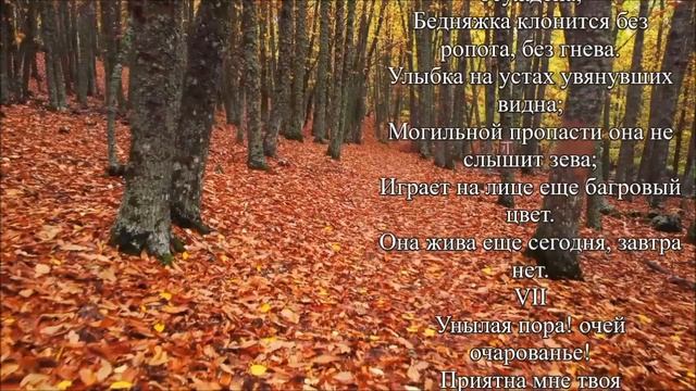 Осень Полное стихотворение Пушкина Очей очарованье Аудиокнига Слушать онлайн смотреть онлайн