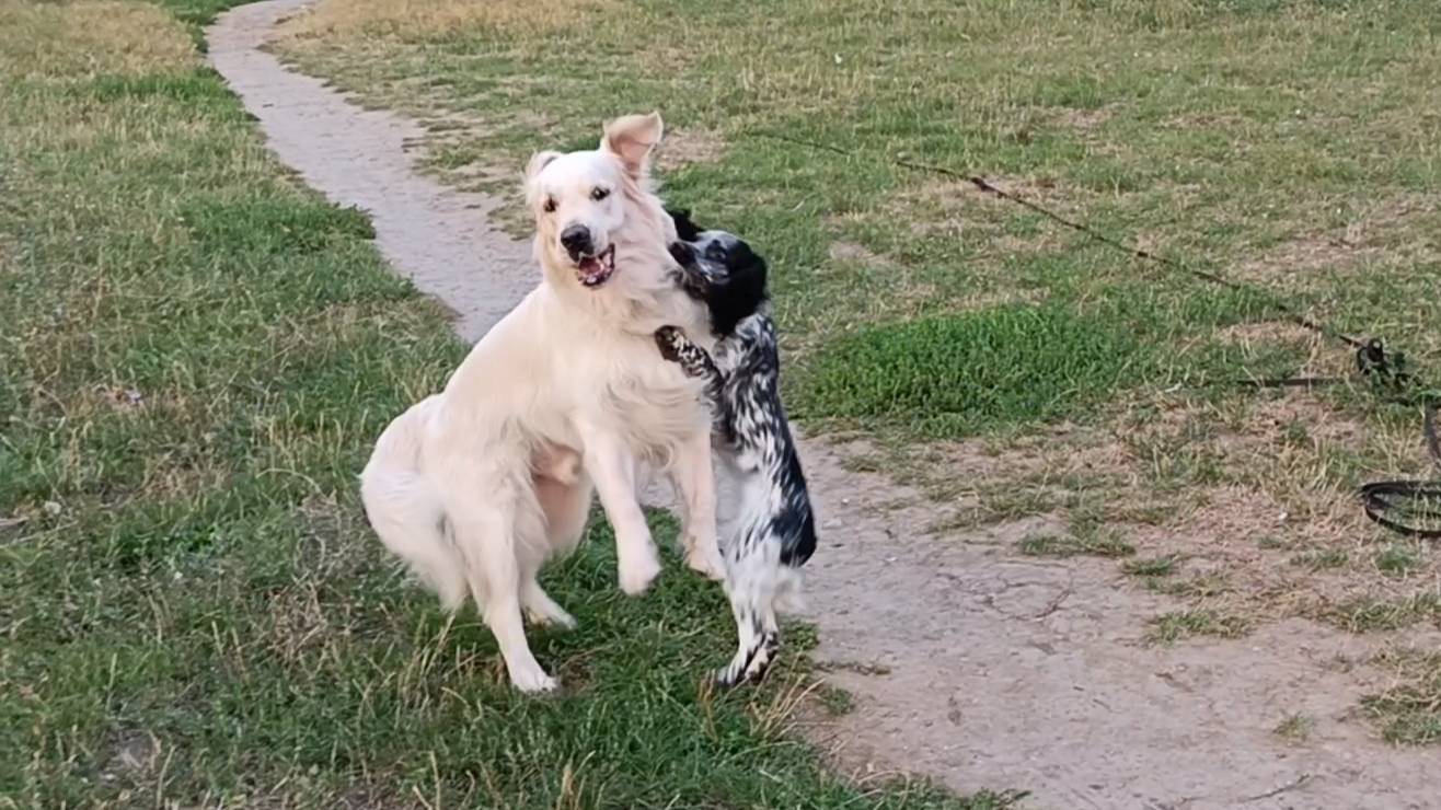 Нортон, Берта и К