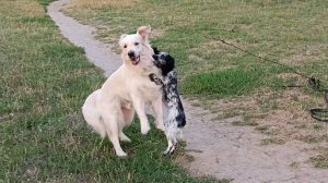 Нортон, Берта и К