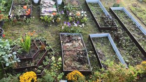 Как обустроили высокими грядками огородную зону, в чем готовим золу