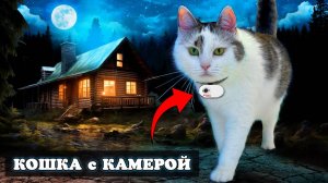 РЕАЛЬНЫЙ ДЕНЬ КОШКИ! 24 ЧАСА МУРКА ГУЛЯЕТ С КАМЕРОЙ ЧЕЛЛЕНДЖ А ну-ка Давай-ка