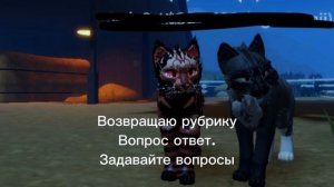 Рубрика вопрос ответ