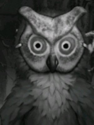 5 ночей с димоном