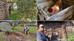 В КУРЯТНИКЕ КАК В СПАЛЬНЕ. И НА ГРЯДКАХ ПОРЯДОК.