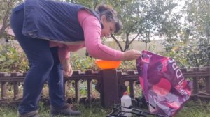 Удивительный рабочий способ очистить нагар. Высаживаю чеснок. Укоренение черенков воздушным способом