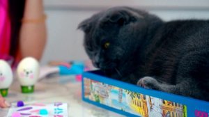 ДЕЛАЕМ ВОЛШЕБНЫЕ ПАСХАЛЬНЫЕ ЯИЧКИ | ЭЛИС И БАТТЕРС ПУШИСТЫЕ ПОВАРЯТА