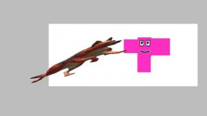 скелет в отАкуу