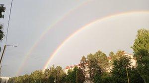 Дух Тарковского