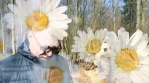 "Снова рисую рассветы". Автор Лидия Поляк. Читает Вероника Филатова.