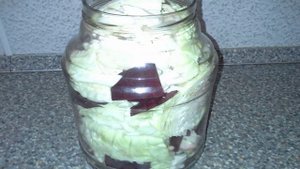 Капуста маринованная с чесноком быстрого приготовления