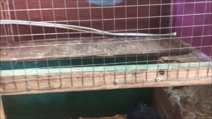 2019 ЭМ Вита в контактном зоопарке Владивосток