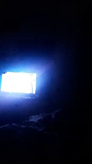 смотрим винни-пух и слонотоп хэллоуин