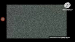 бешеный Карусель