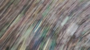 99 ночей в лесу в реальной жизни 3 часть.